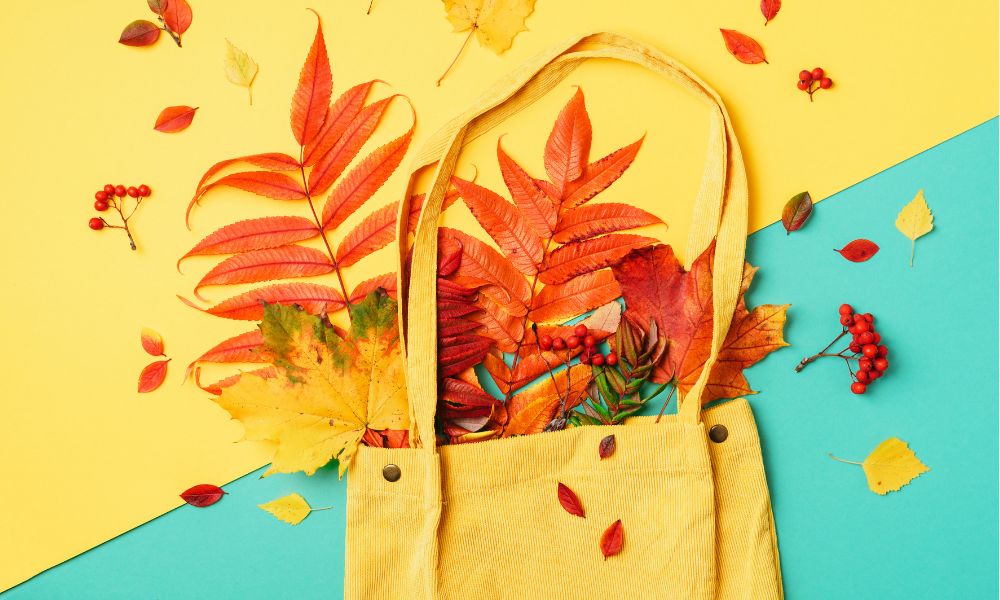 Why Fall Is the Best Time To Donate to Charity