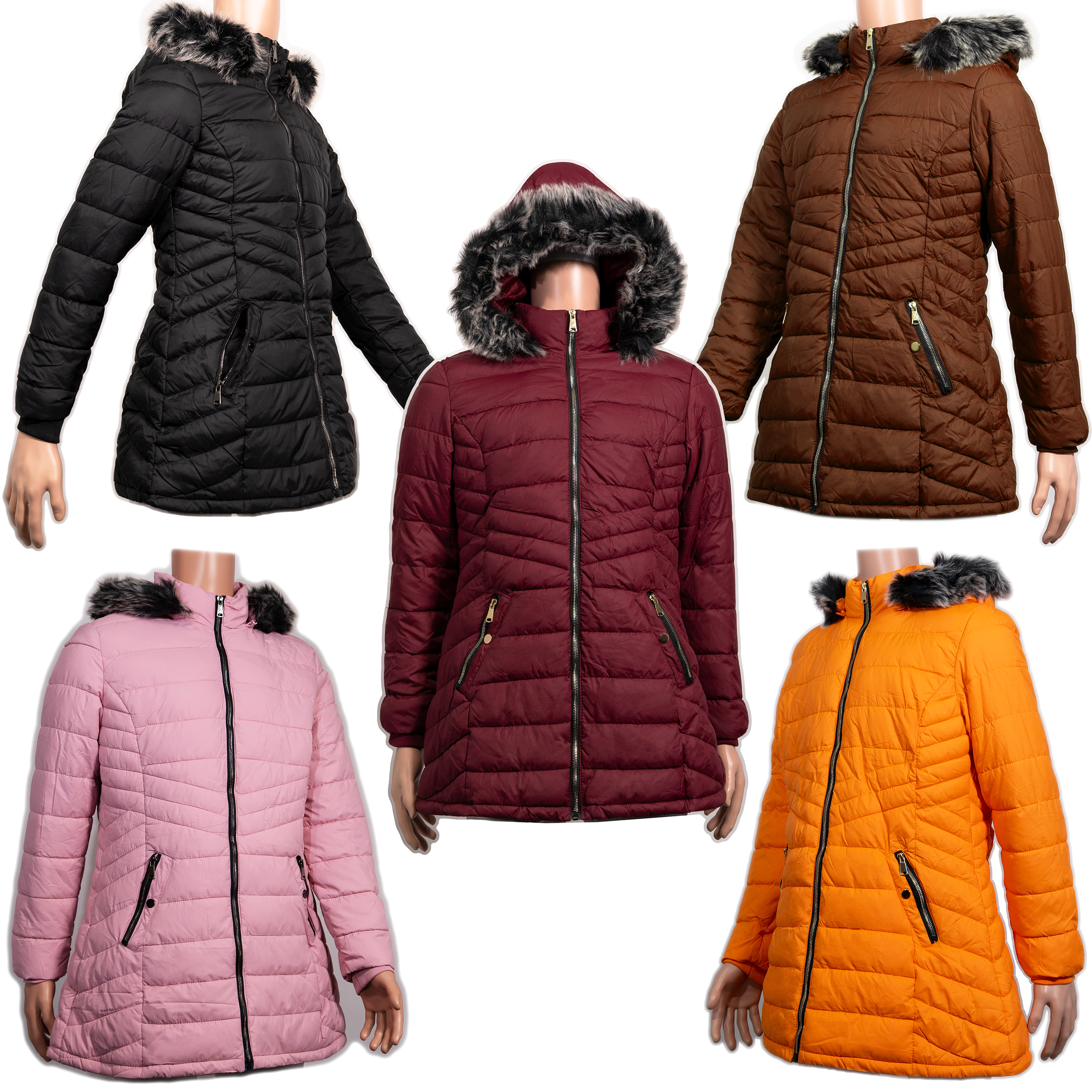 Wholesale Women’s Jackets - 5 Assorted Colors & Sizes – Bulk Case of 12 Ladies Coats